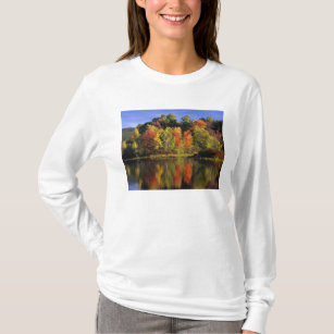 USA, New Hampshire, Moultonborough. Bäume in T-Shirt