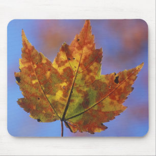 USA, New Hampshire, White Mountains, Franconia Mousepad