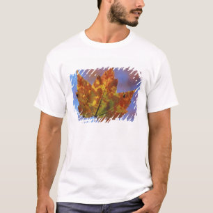 USA, New Hampshire, White Mountains, Franconia T-Shirt
