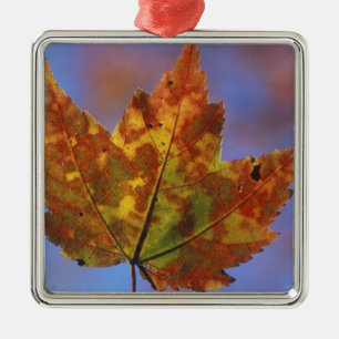 USA, New Hampshire, White Mountains, Frankreich Silbernes Ornament