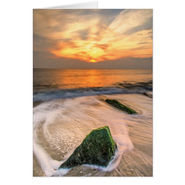 USA, New Jersey, Cape May. Landschaftlich am 2. Ma (Vorne)