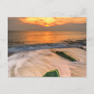 USA, New Jersey, Cape May. Landschaftlich am 2. Ma Postkarte