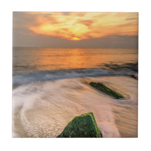 USA, New Jersey, Cape May. Scenic On Cape May 2 Fliese