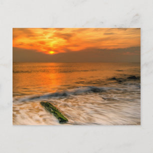 USA, New Jersey, Cape May. Scenic On The Cape May Postkarte