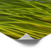 USA, New Jersey, Jersey City, Nah-up view Poster (Ecke)