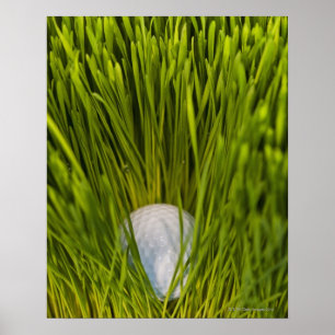 USA, New-Jersey, Jersey City, Nahaufnahmeansicht Poster