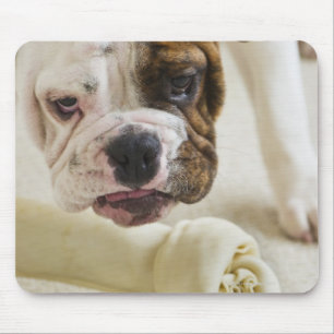 USA, New-Jersey, Jersey City, niedlicher Mousepad