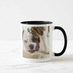 USA, New-Jersey, Jersey City, niedlicher Tasse