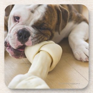 USA, New-Jersey, Jersey City, niedlicher Untersetzer