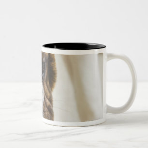 USA, New-Jersey, Jersey City, niedlicher Zweifarbige Tasse