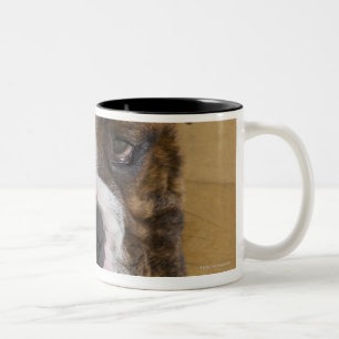 USA, New-Jersey, Jersey City, Porträt von gebohrt Zweifarbige Tasse