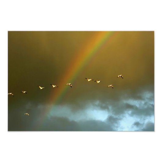 USA, New Mexico, Bosque del Apache National 3 Fotodruck (Vorne)