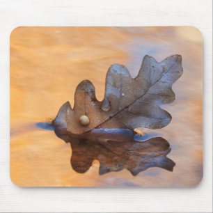 USA, New Mexico. Eichenblatt im Bach Mousepad