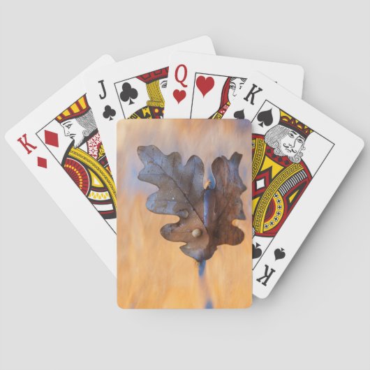 USA, New Mexico. Eichenblätter in Stream Spielkarten (Rückseite)