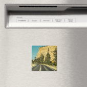 USA New Mexico Landscape Magnet (In Situ (Geschirrspüler))