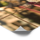 USA, New Mexico, Mesilla: Historic Mesilla Plaza Poster (Ecke)