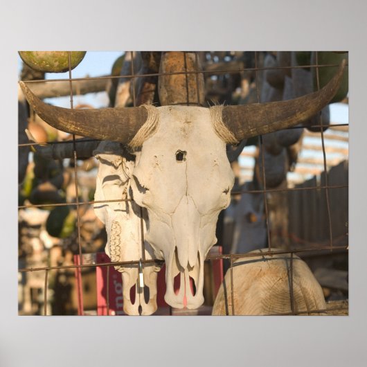 USA, New Mexico, Mesilla: Historic Mesilla Plaza Poster (Vorne)