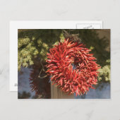 USA, New Mexico, Santa Fe: Downtown Santa Fe, 2 Postkarte (Vorne/Hinten)