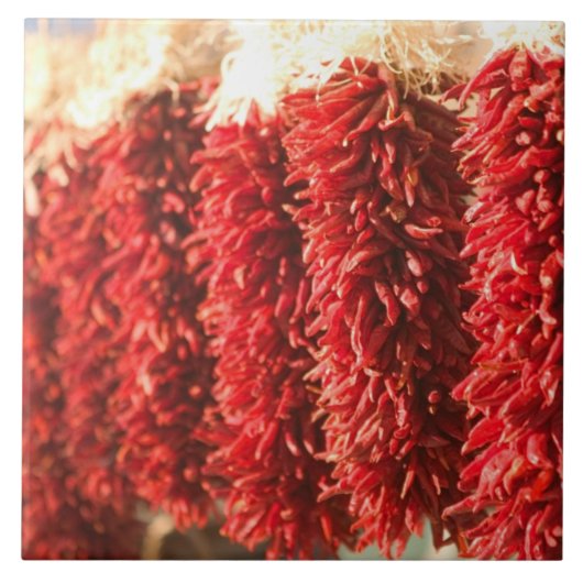 USA, New Mexico, Santa Fe: Downtown Santa Fe, 3 Fliese (Vorderseite)