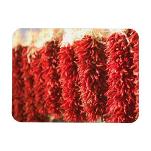 USA, New Mexico, Santa Fe: Downtown Santa Fe, 3 Magnet