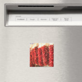 USA, New Mexico, Santa Fe: Downtown Santa Fe, 3 Magnet (In Situ (Geschirrspüler))