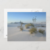 USA, New Mexico, White Sands National 2 Postkarte (Vorne/Hinten)
