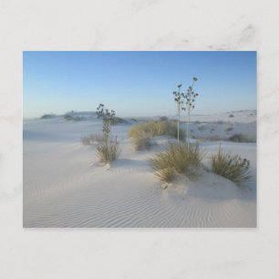 USA, New Mexico, White Sands National 2 Postkarte