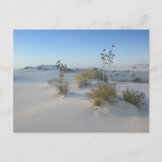 USA, New Mexico, White Sands National 2 Postkarte (Vorderseite)