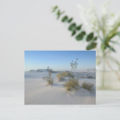 USA, New Mexico, White Sands National 2 Postkarte (Stehend Vorderseite)
