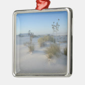 USA, New Mexico, White Sands National 2 Silbernes Ornament (Links)