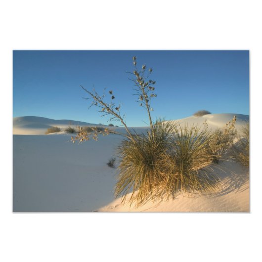 USA, New Mexico, White Sands National 3 Fotodruck (Vorne)