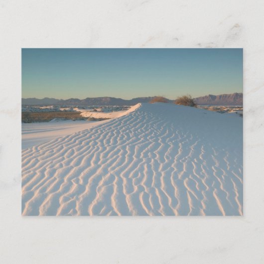USA, New Mexico, White Sands National Postkarte (Vorderseite)