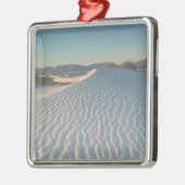 USA, New Mexico, White Sands National Silbernes Ornament (Links)