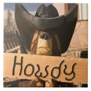 USA, New Mexiko, Eagles-Nest: Verzaubert Fliese