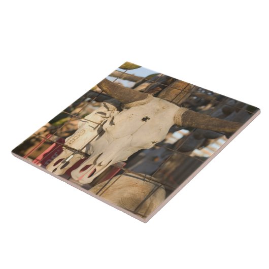 USA, New Mexiko, Mesilla: Historische Mesilla Fliese (Seite)