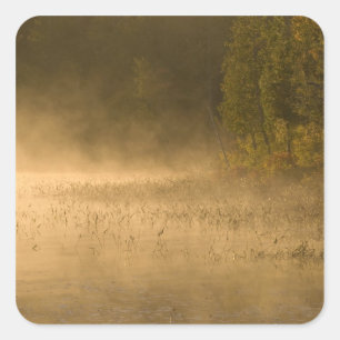 USA, New York, Adirondack Park. Morgennebel auf Quadratischer Aufkleber