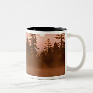 USA, New York, Adirondack Park. Sonnenaufgang an e Zweifarbige Tasse