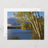 USA, New York, Adirondack Park und Preserve Postkarte (Vorne/Hinten)