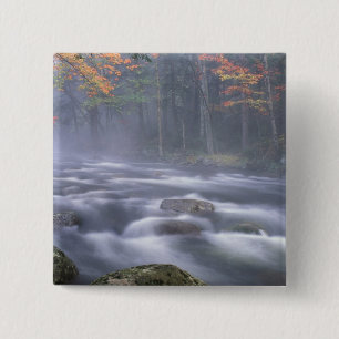 USA, New York, Adirondacks, Big Moose River Button