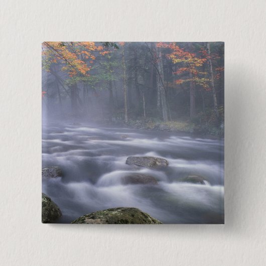 USA, New York, Adirondacks, Big Moose River Button (Vorderseite)