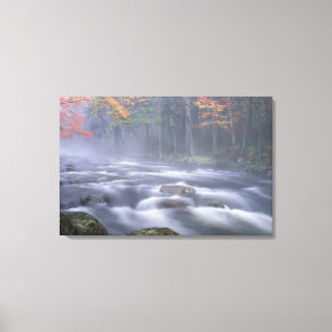 USA, New York, Adirondacks, Big Moose River Leinwanddruck