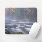 USA, New York, Adirondacks, Big Moose River Mousepad (Mit Mouse)