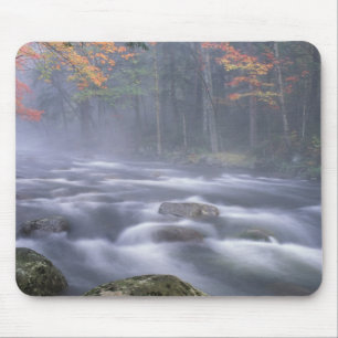 USA, New York, Adirondacks, Big Moose River Mousepad