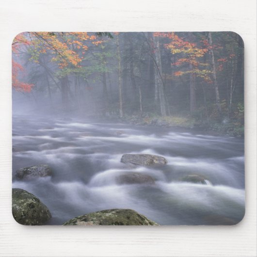 USA, New York, Adirondacks, Big Moose River Mousepad (Vorne)