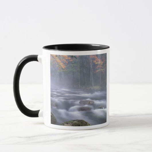 USA, New York, Adirondacks, Big Moose River Tasse (Links)