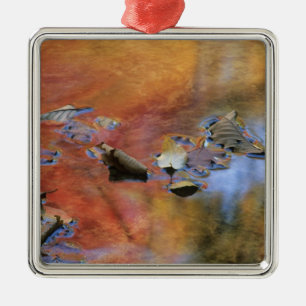 USA, New York, Adirondacks, Fallen Blätter in Silbernes Ornament