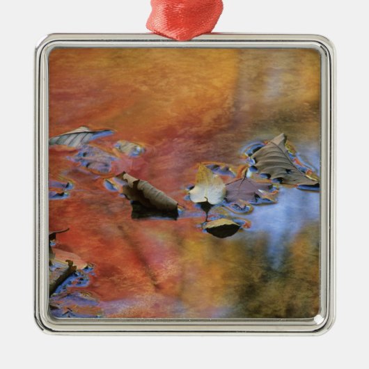 USA, New York, Adirondacks, Fallen Blätter in Silbernes Ornament (Vorne)