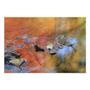 USA, New York, Adirondacks, Gefallene Blätter in Fotodruck