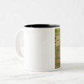 USA, New York, Adirondacks, Reflections in water Zweifarbige Tasse (Vorderseite Links)