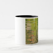 USA, New York, Adirondacks, Reflections in water Zweifarbige Tasse (Mittel)
